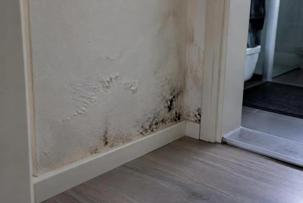 Lekdetectie Voorschoten – vochtplek met schimmel op een muur